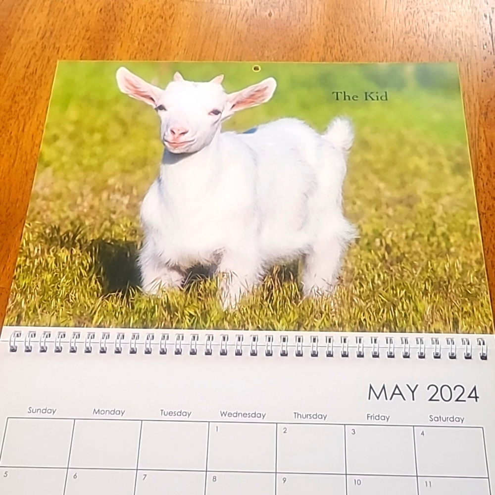 2024 Footjourneys Idaho Images wall calendar 17" x 11"